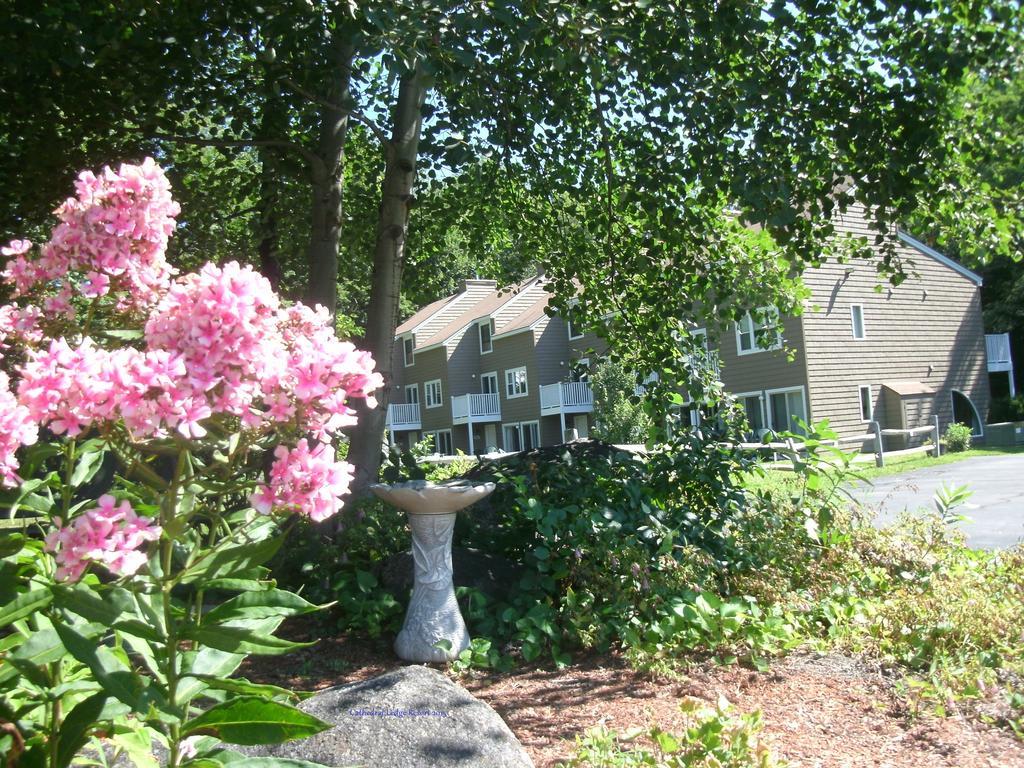 Cathedral Ledge Resort North Conway Exterior photo